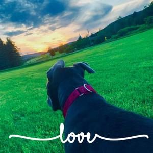 Meet your Posher, Edward